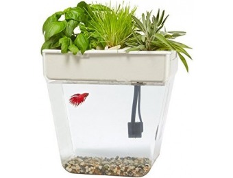 43% off Back to the Roots Water Garden Fish Tank, Premium