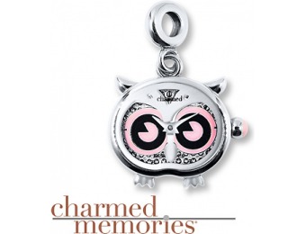 $70 off Charmed Memories Timebeads Stainless Steel Owl Charm