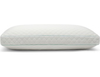 30% off Sealy Memory Foam Cluster Pillow