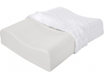 $10 off Sealy Memory Foam Contour Pillow