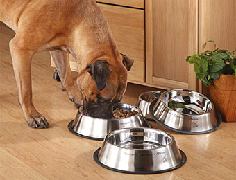 80% off 2-Pack Cesar Millan Stainless Steel Pet Bowls w/ BH749