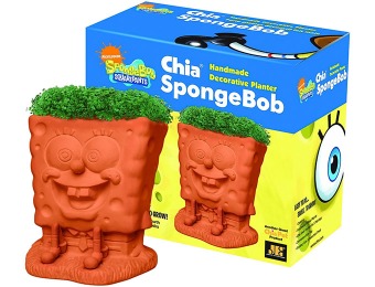 78% off Chia SpongeBob Handmade Decorative Planter