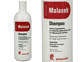 52% off DVM Pharmaceuticals Malaseb Pet Shampoo