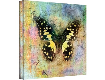 95% off Butterfly Gallery-Wrapped Canvas Art by Elena Ray