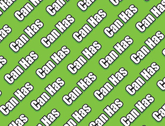 67% off "Can Has" Wrapping Paper