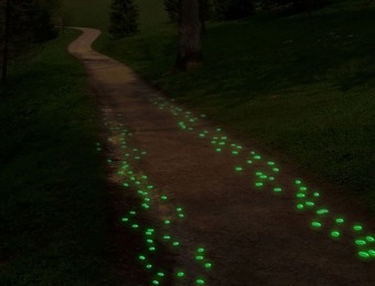 66% off 100 Glow in the Dark Pebbles for Walkways and Decor