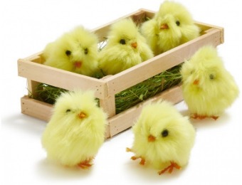 77% off Baby Chick Scatter