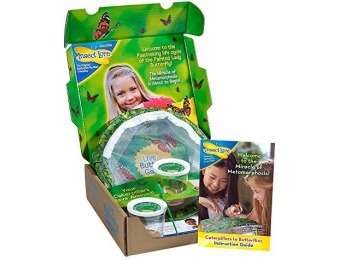 40% off Original Butterfly Garden with 2 Live Cups of Caterpillars
