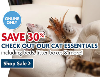 30% off Cat Essentials - Cat beds, litterboxes, and more