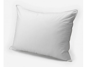 66% off Eddie Bauer Superior Dual-Chamber Pillow