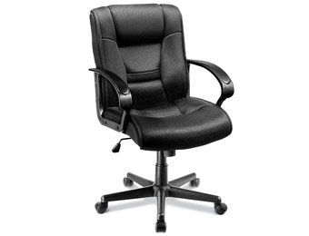$53 off Ruzzi Mid-Back Mesh Computer Chair