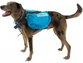 50% off Outward Hound Quick-Release Dog Backpack - Large