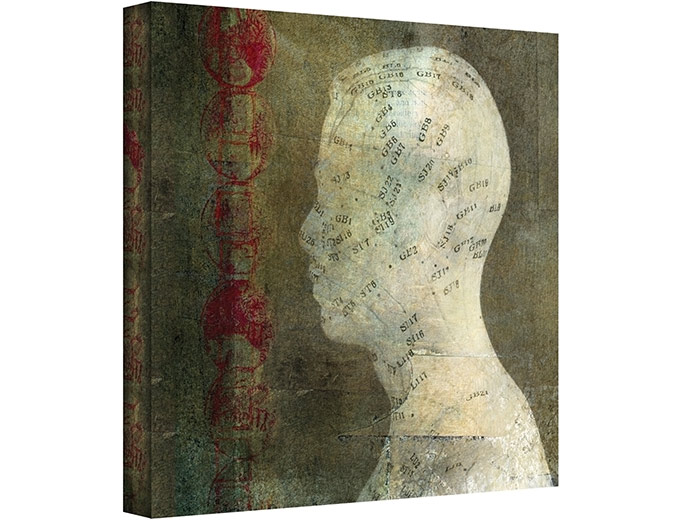 Acupuncture Gallery-Wrapped Canvas Art