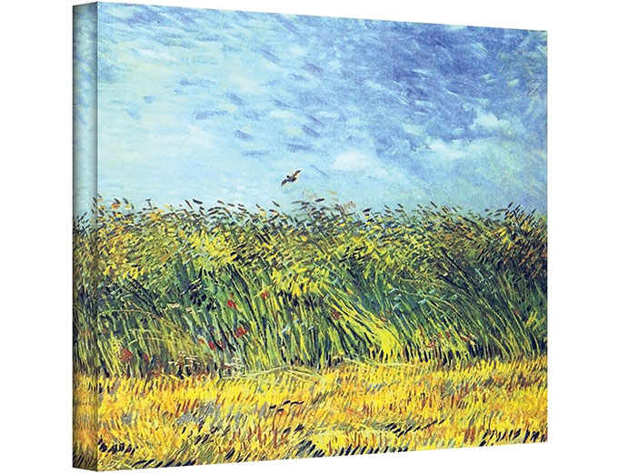 Green Wheat Fields Gallery Wrapped Canvas