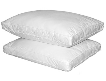 71% off Club Le Med 100% Cotton Quilted Feather Pillows (2 Pack)