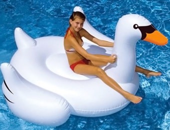 71% off International Leisure Giant Swan