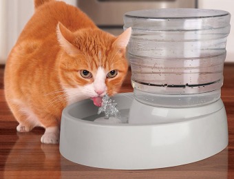 60% off Animal Planet Automated Feeding Pet Fountain