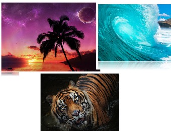 Up to 79% off Museum-Quality Canvas Prints (24 styles)