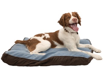 69% off Aussie Naturals Perth Dog Bed - Medium (2 Colors)