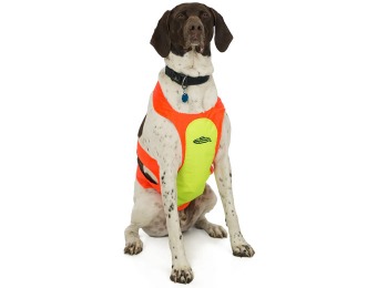 89% off Team Realtree Reflective Dog Chest Protector