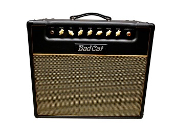 54% off Bad Cat Cougar 15 15W Class A Tube Guitar Combo Amp