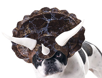 61% off Animal Planet Triceratops Dog Costume (Small)