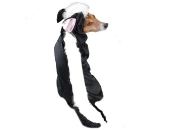 60% off Casual Canine Lil' Stinker Dog Costume
