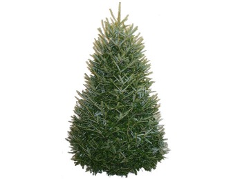 43% off Fresh-Cut Fraser Fir Christmas Trees w/ Delivery Dates