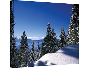 $482 off Art Wall Lake Tahoe in Winter Gallery Wrapped Canvas