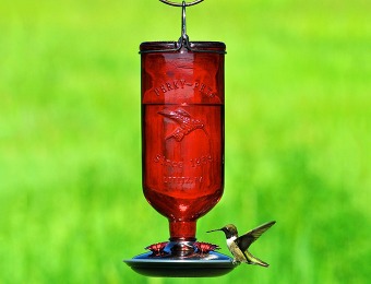 55% off Perky-Pet Antique Glass Bottle Hummingbird Feeder