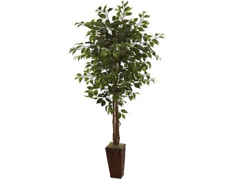 45% off 6' Ficus Tree With Decorative Planter