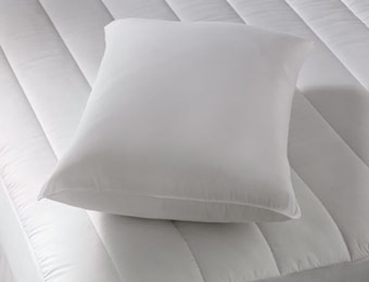 60% off Big Fab Find Supersize Jumbo Fiber Pillow
