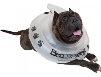 52% off BooBooLoon Inflatable Pet Recovery Collar
