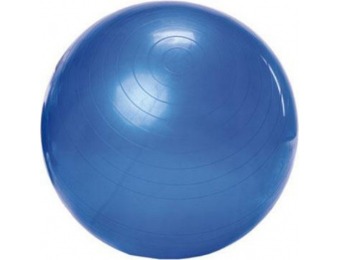 41% off Sivan Health and Fitness 52cm Anti-Burst Stability Gym Ball