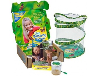 40% off Original Butterfly Garden with Live Cup of Caterpillars