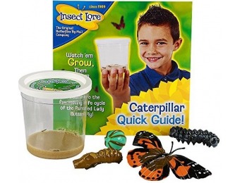 40% off Live Cup of Caterpillars with Butterfly Life Cycle Stages