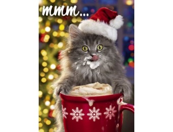 77% off Avanti Christmas Cards, Kitten and Cocoa, 20-Count