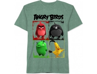 75% off Angry Birds Little Boys' 4 Angry Birds T-Shirt