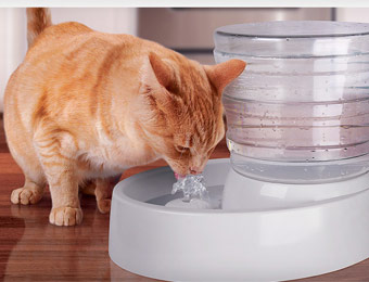 50% off Animal Planet Automatic Flow Pet Water Fountain