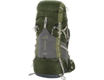 56% off ALPS Mountaineering Shasta 4200 Backpack