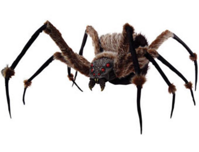6' Halloween Spider with Light Up Eyes