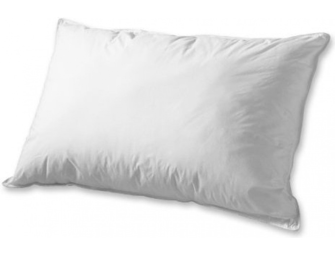 Set of 2 Overfilled Down Alternative Pillows