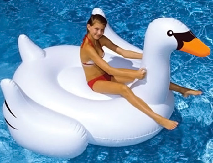 International Leisure Giant Swan