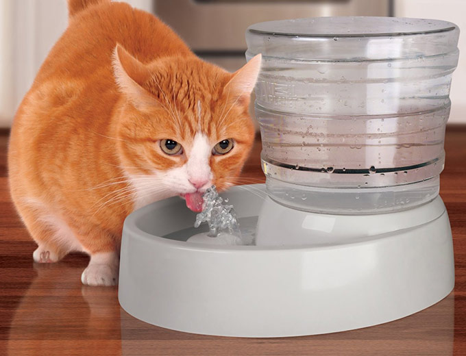 Animal Planet Automated Pet Fountain