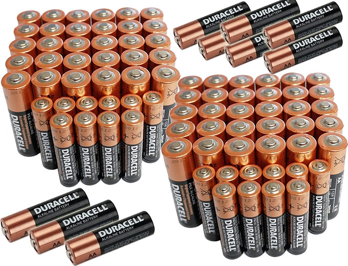 Duracell Alkaline Batteries 100-Pack