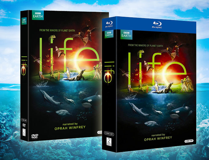 BBC Life 4-Disc DVD or Blu-ray Set