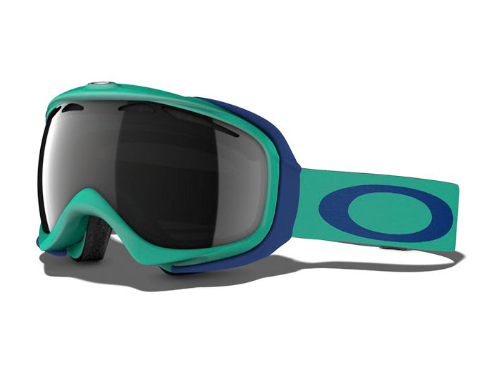 Oakley Elevate Snow Goggles