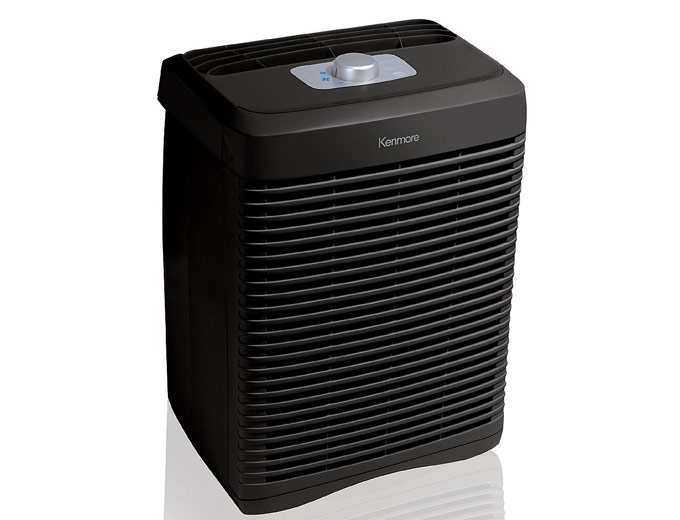 Kenmore 66500 2-Filter Air Cleaner