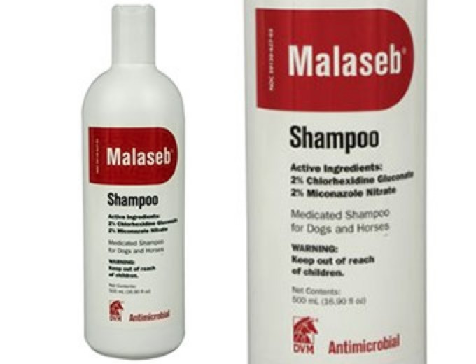 Malaseb Pet Shampoo