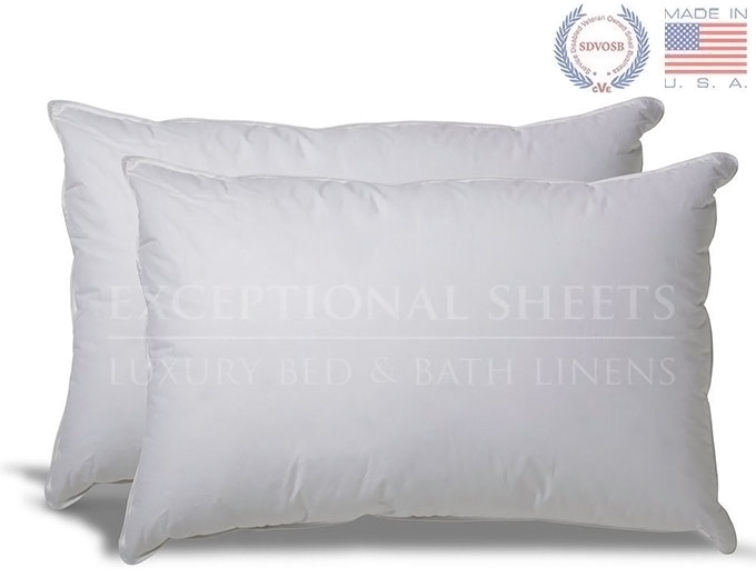 2 Down Alternative Hypoallergenic Pillows